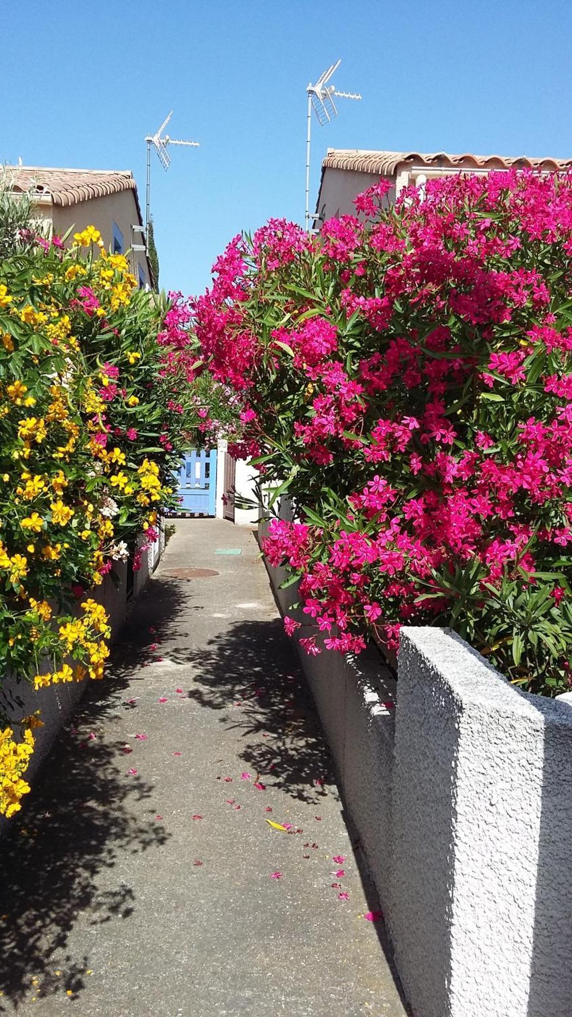 Villa Les Amandines Agde Esterno foto
